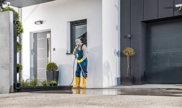 Best Solar Panel Cleaning  in Merkel, TX